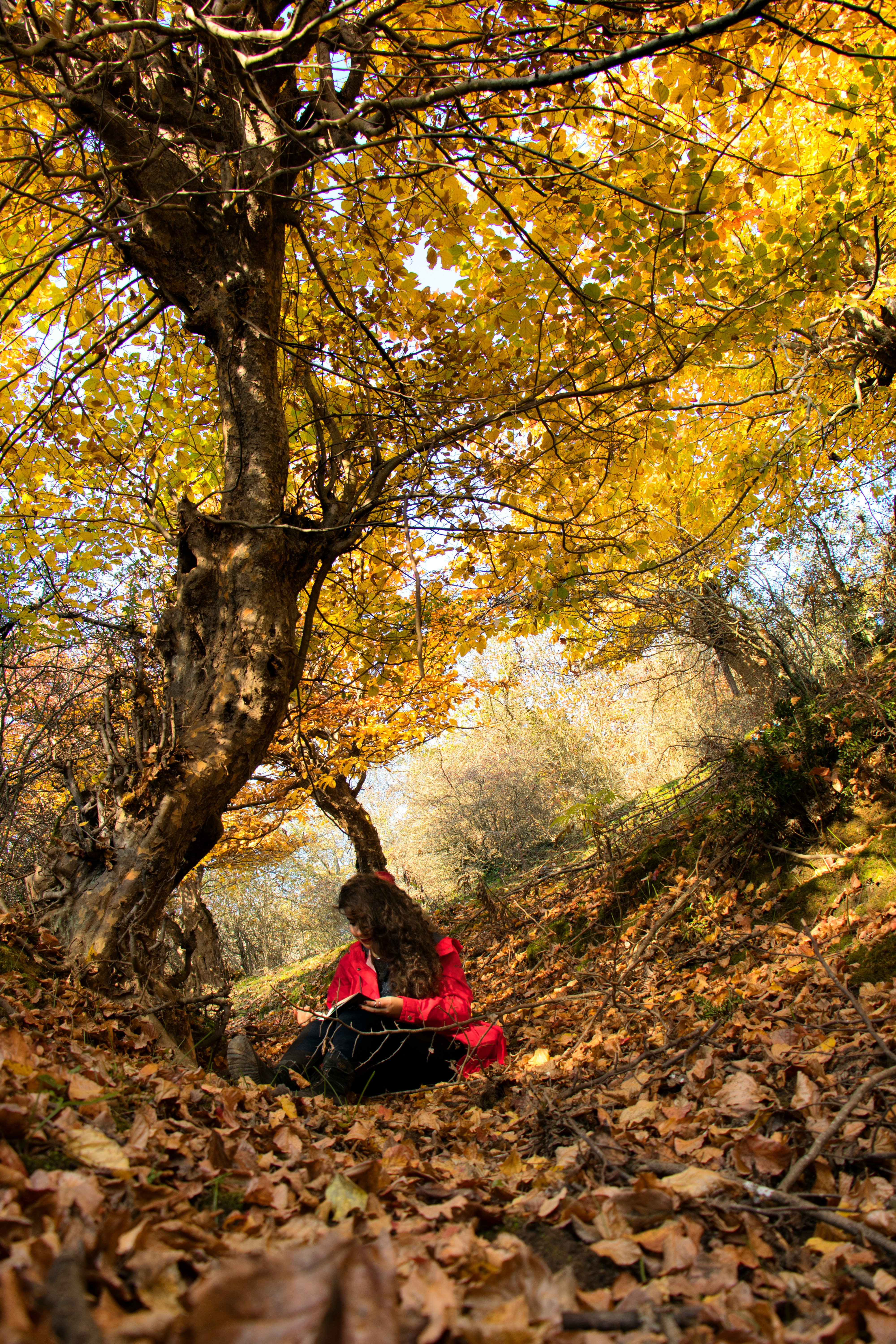 糖心vlog 标签封面：城市旅行的光线笔记